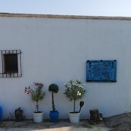 Country Side Loft Διαμέρισμα Βαλένθια Δωμάτιο φωτογραφία
